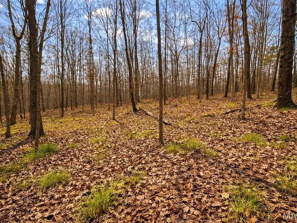 000 M- Apache Trail , Raymondville, MO 65555