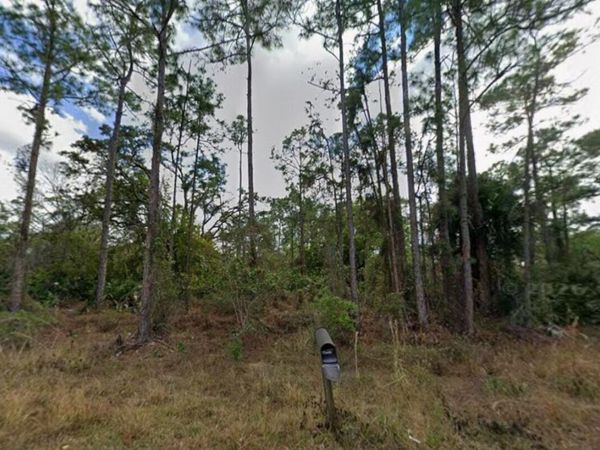 1210 Raphia Street E, Lehigh Acres, FL 33974