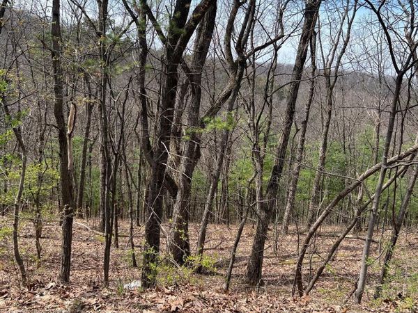 226 WESTWOOD Drive, Winfield, PA 17889