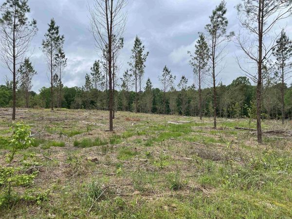 0 Grant 433 (Tract B) , Sheridan, AR 72150