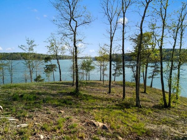 LOT 94 JONATHAN Dr, Arley, AL 35541