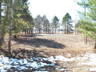 TBD Pacer Drive, Browerville, MN 56438