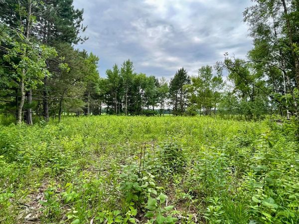 TBD Pacer Drive, Browerville, MN 56438