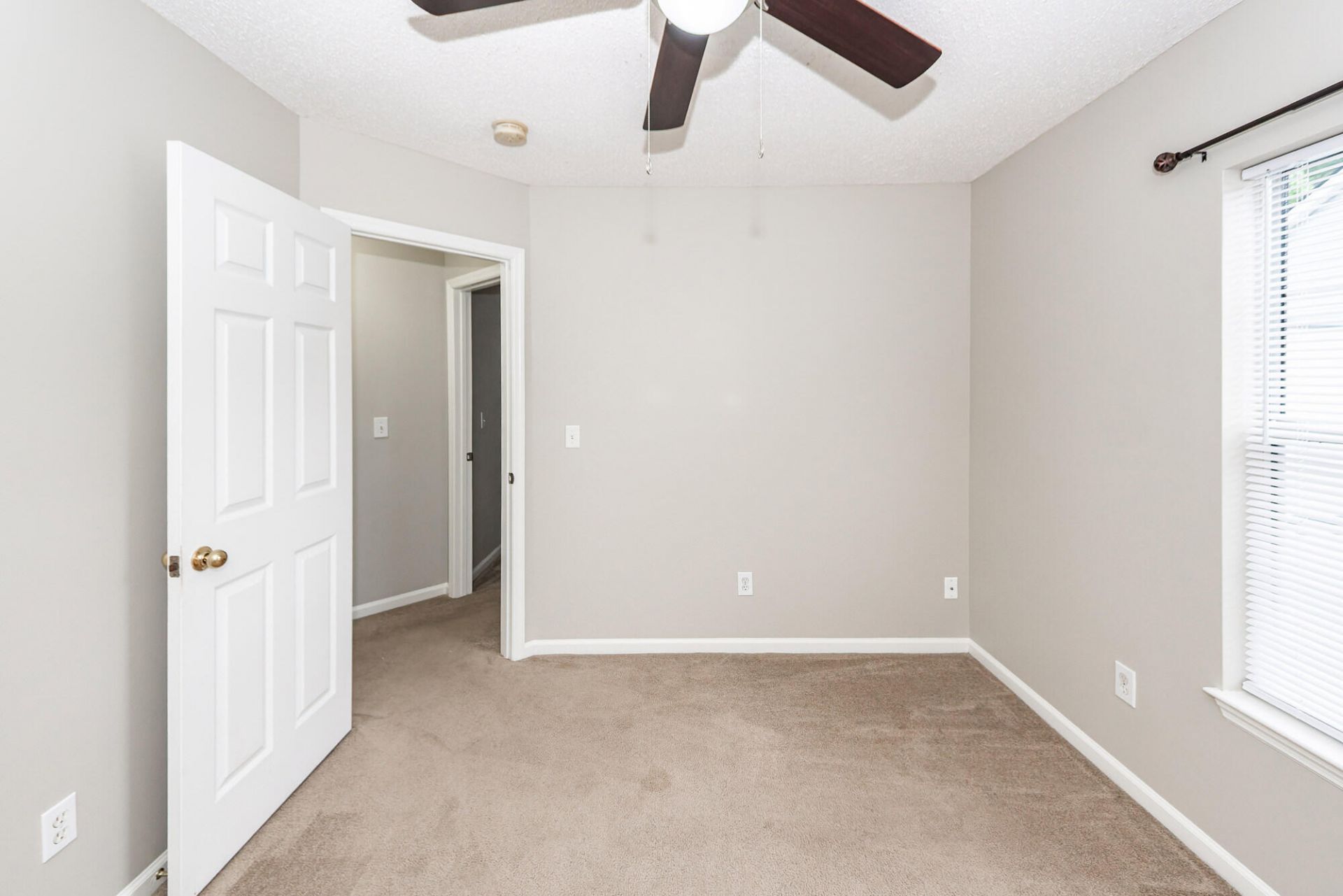 574 Carters Grove Road Photo 20