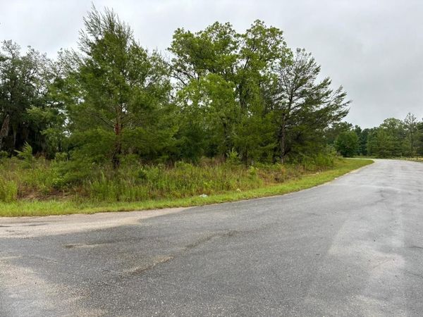 1 MALAUKA RADIAL DRIVE , OCKLAWAHA, FL 32179