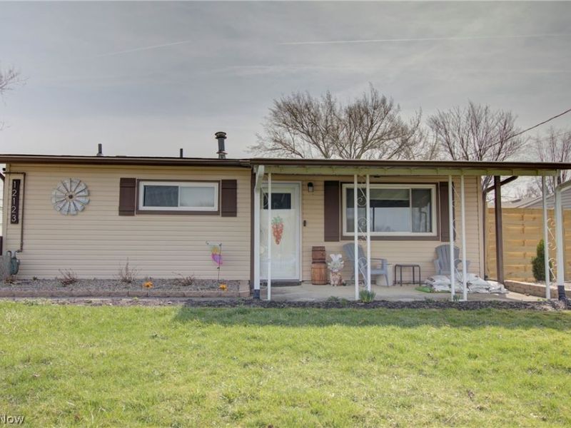 12123 National Drive, Grafton, OH 44044 Photo 1