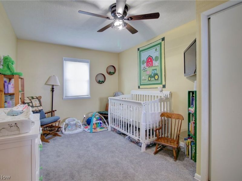 12123 National Drive, Grafton, OH 44044 Photo 18