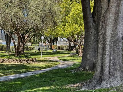 3454 Bridgewood Ter #311, Unit 311, Fremont, CA 94536 Photo