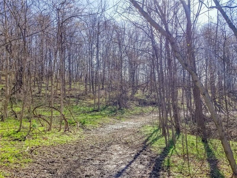 Zep Road, Summerfield, OH 43788 Photo 12