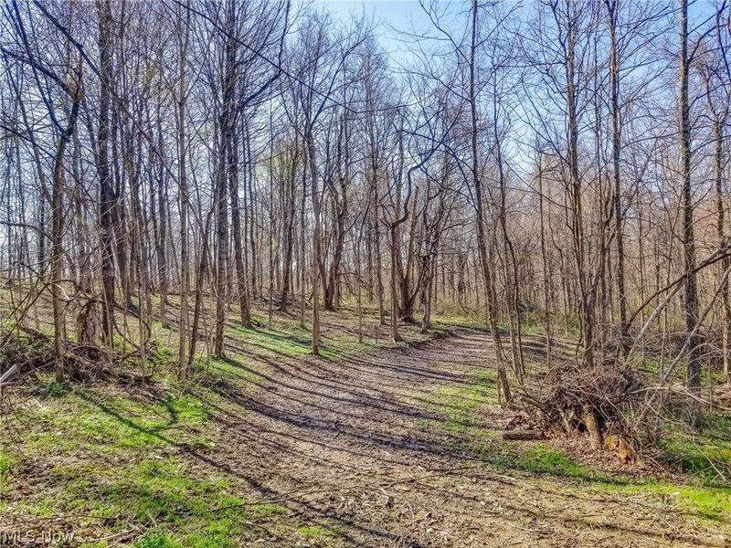 Zep Road, Summerfield, OH 43788 Photo 13