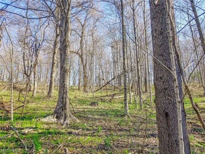 Zep Road, Summerfield, OH 43788 Photo 14