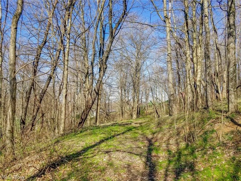 Zep Road, Summerfield, OH 43788 Photo 15