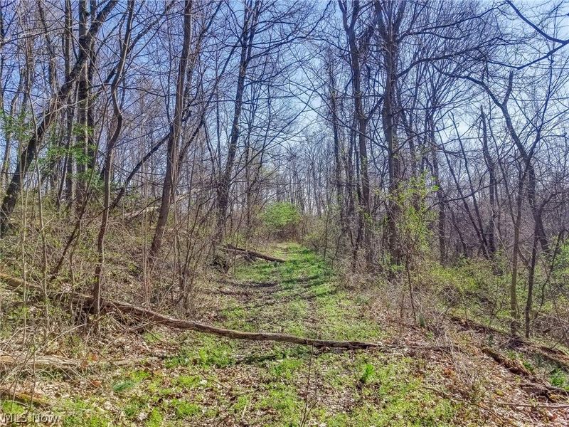 Zep Road, Summerfield, OH 43788 Photo 16