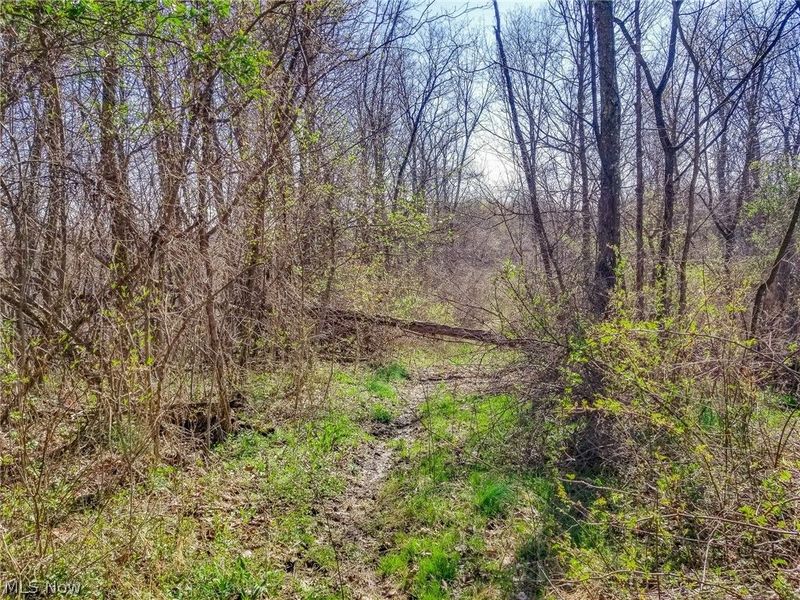 Zep Road, Summerfield, OH 43788 Photo 17