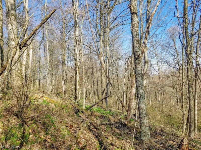 Zep Road, Summerfield, OH 43788 Photo 18