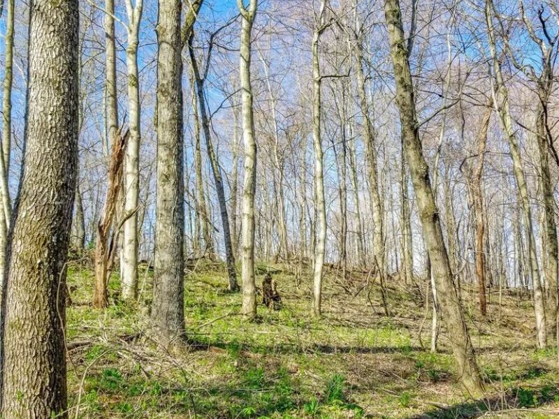 Zep Road, Summerfield, OH 43788 Photo 22