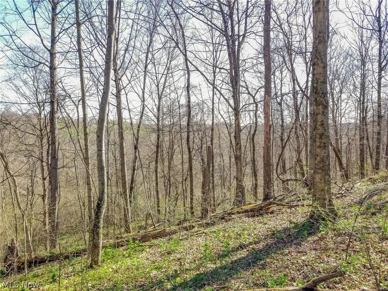 Zep Road, Summerfield, OH 43788 Photo 24