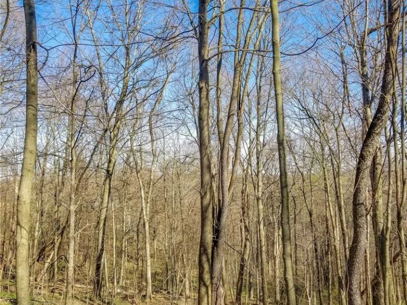 Zep Road, Summerfield, OH 43788 Photo 26