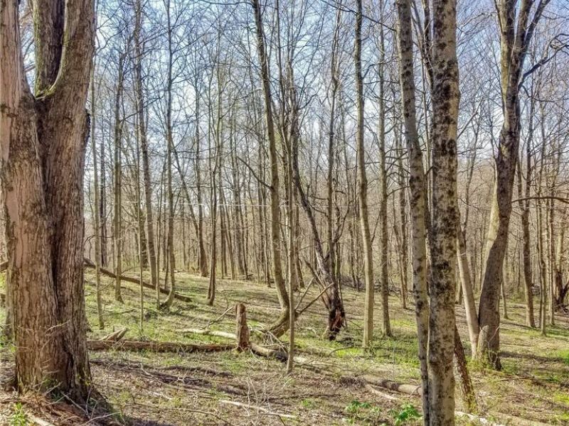 Zep Road, Summerfield, OH 43788 Photo 27