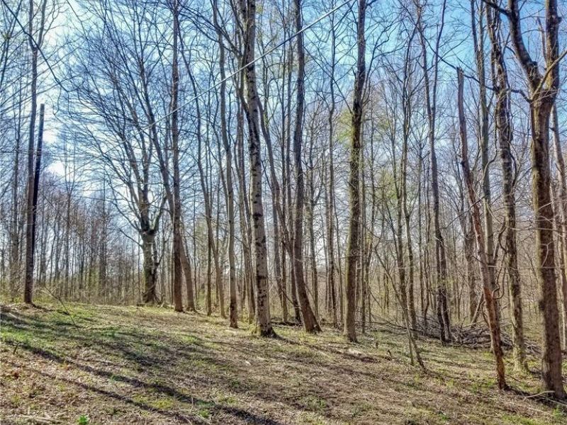 Zep Road, Summerfield, OH 43788 Photo 28