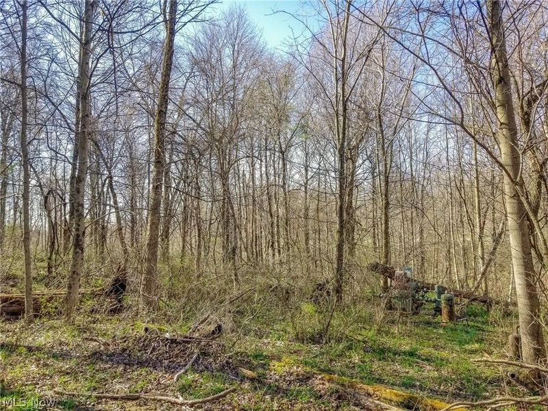 Zep Road, Summerfield, OH 43788 Photo 29