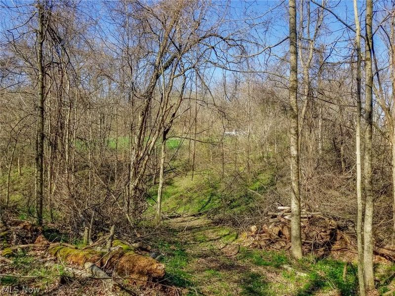 Zep Road, Summerfield, OH 43788 Photo 30