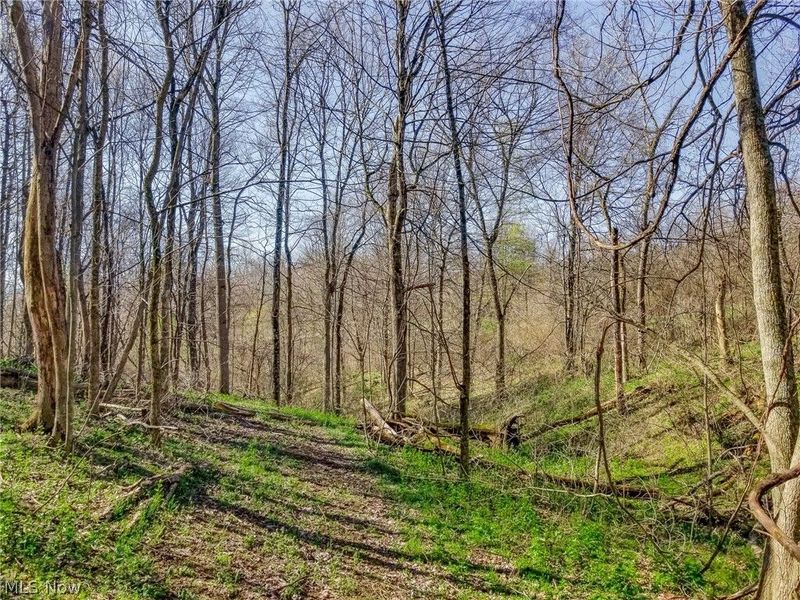 Zep Road, Summerfield, OH 43788 Photo 31