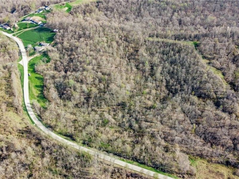 Zep Road, Summerfield, OH 43788 Photo 32