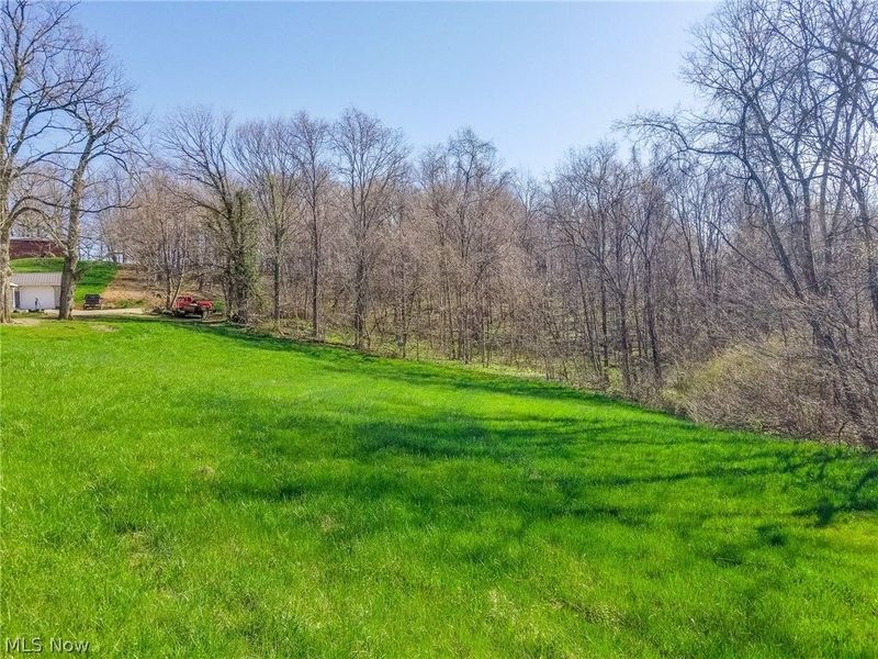 Zep Road, Summerfield, OH 43788 Photo 4