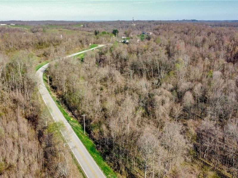 Zep Road, Summerfield, OH 43788 Photo 6