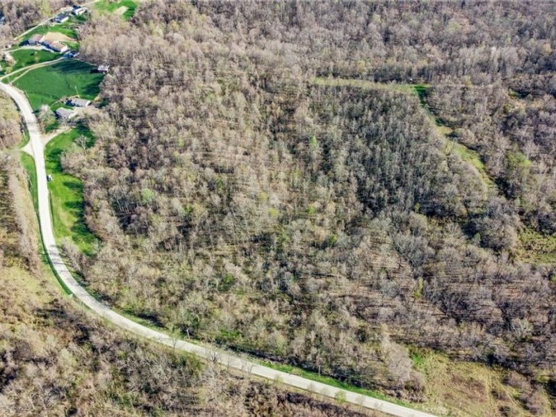 Zep Road, Summerfield, OH 43788 Photo 7