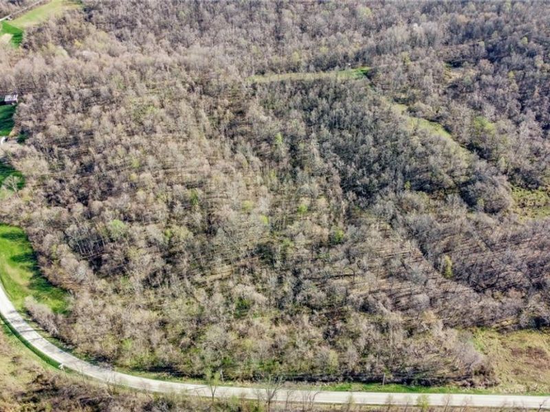 Zep Road, Summerfield, OH 43788 Photo 8