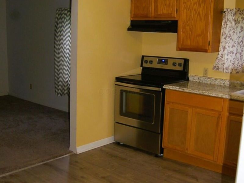 217 W Bomford Street, Richwood, OH 43344 Photo 4