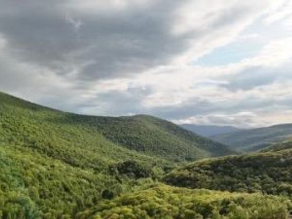 2595 Rt-214, Hunter, NY 12442