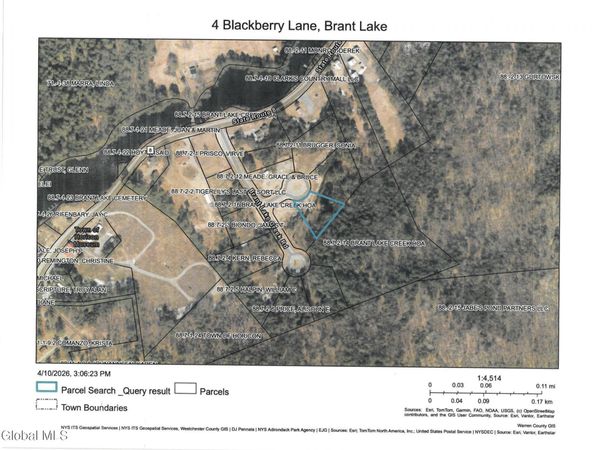 4 Blackberry Lane, Brant Lake, NY 12815