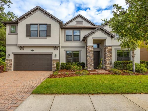 19433 WHISPERING BROOK DRIVE , TAMPA, FL 33647