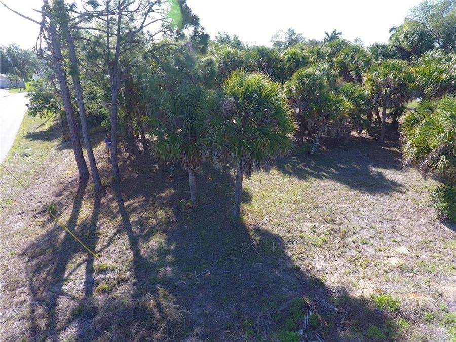 Property Image 45