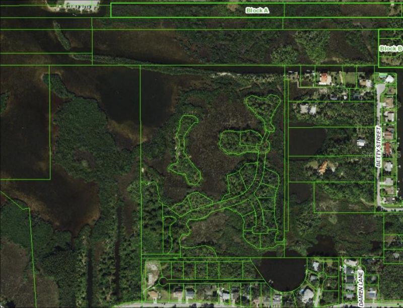 Bay Blvd , Port Richey, FL 34668 Photo