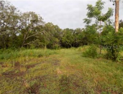 5001 Whippoorwill Drive , Holiday, FL 34690 Photo