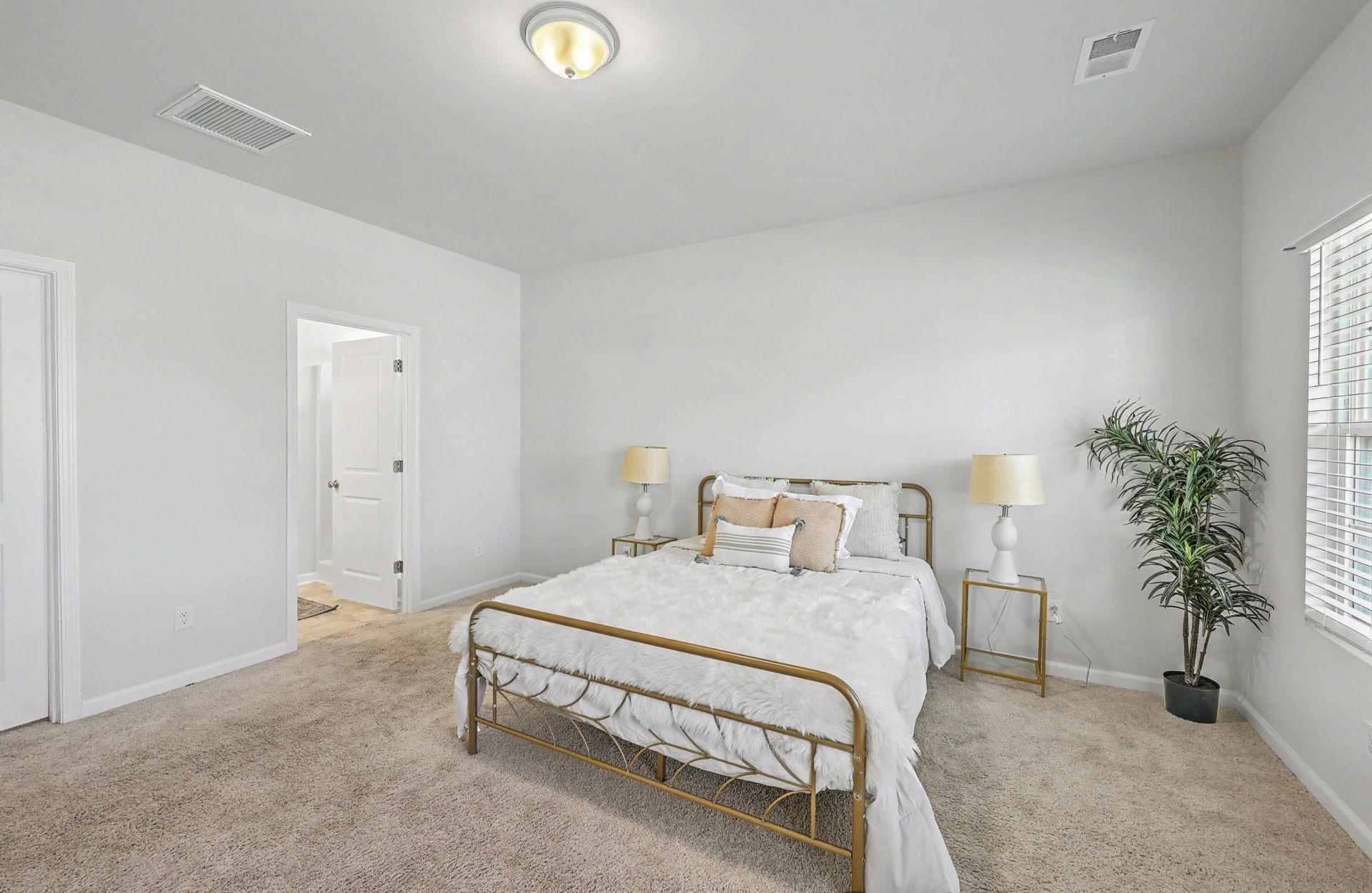 226 Clydesdale Circle Photo 17