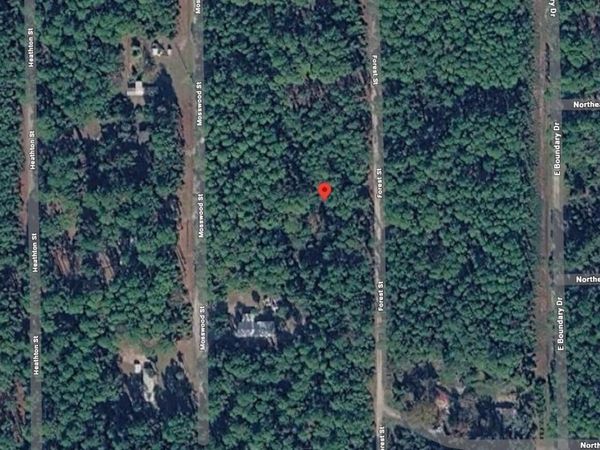 143 Forest Street, Georgetown, FL 32139