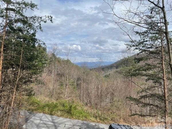 92 Mountain Magnolia Drive , Leicester, NC 28748