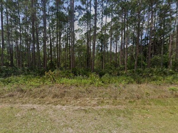 141 E Boundary Drive, Georgetown, FL 32139