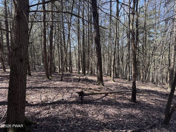 Steep Hill Road, Beach Lake, PA 18405