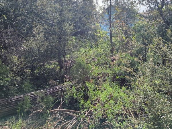 53309 Road 432, Bass Lake, CA 93604