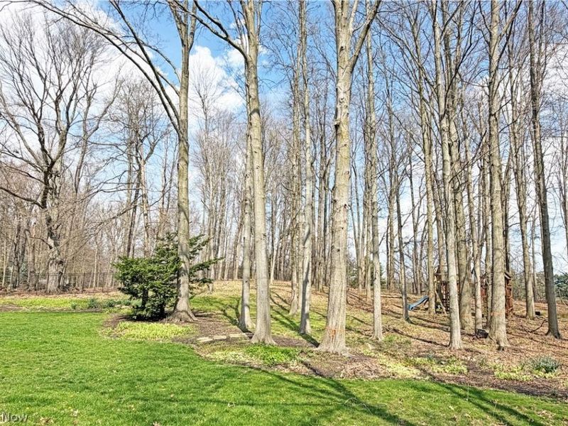 3455 Parfoure Boulevard, Uniontown, OH 44685 Photo 47