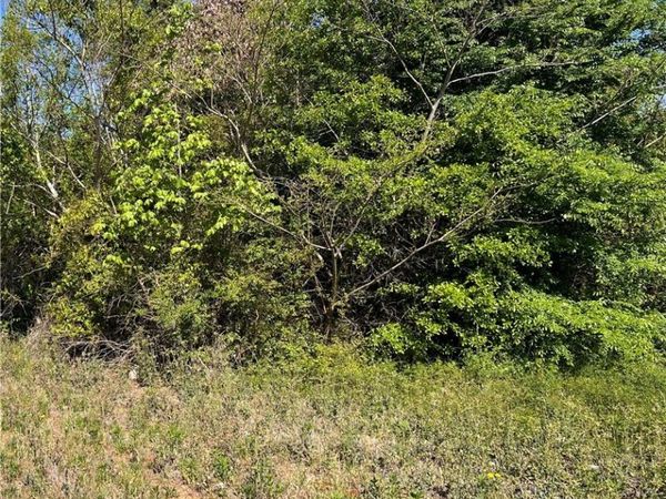 0 1st Street NE, Tuscaloosa, AL 35404