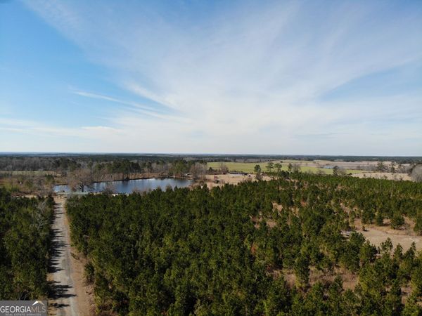 275 Marchants Dairy Road, Rhine, GA 31077