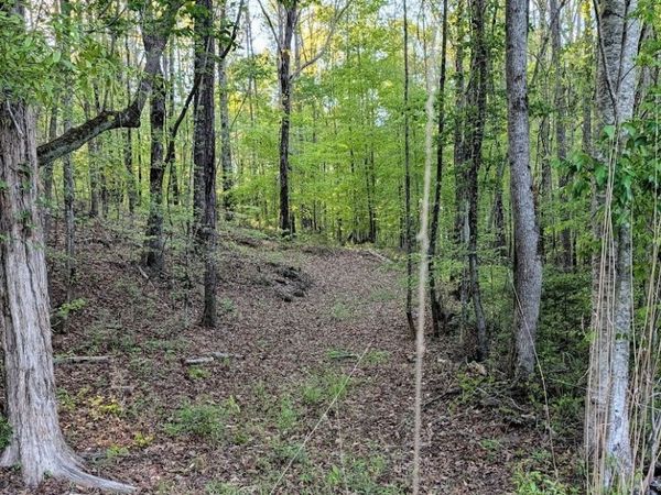 0 Ga Hwy 116, Hamilton, GA 31811