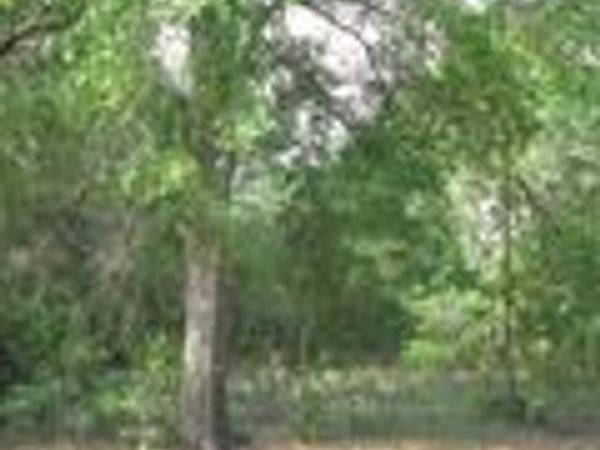 00 N Park Street, DeFuniak Springs, FL 32435